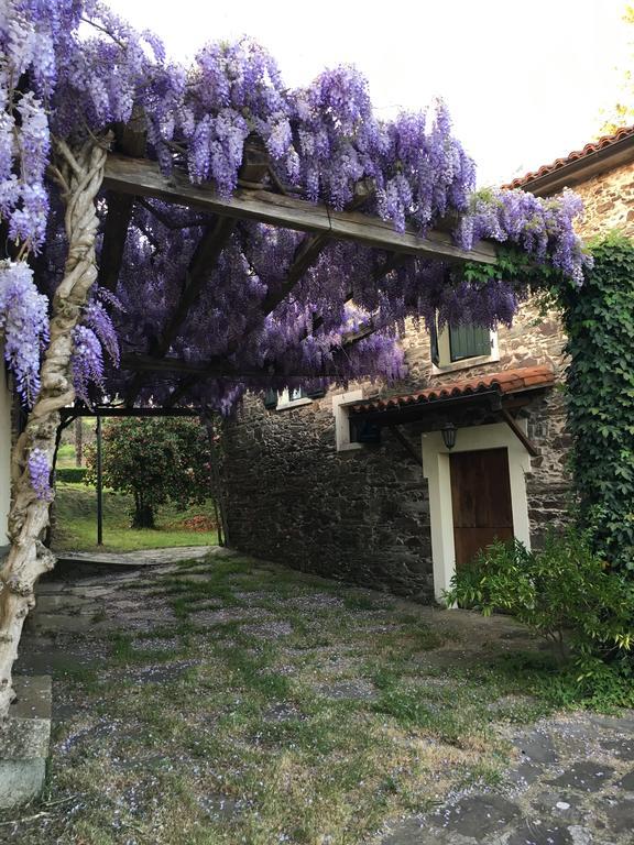 Casa Grande Do Soxal Guest House Cesuras Exterior photo